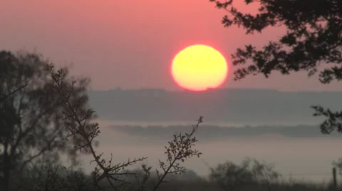 Sun texas 14 Stock Footage 917866