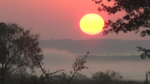 Sun texas 15 Stock Footage 917862