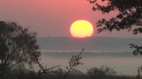 Sun texas 16 Stock Footage 917860