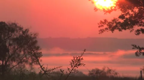 Sun texas 17 Stock Footage 917854