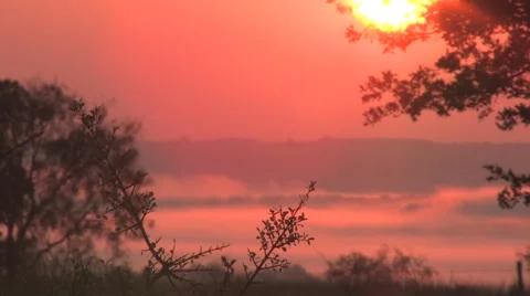 Sun texas 18 Stock Footage 917851