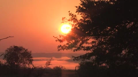 Sun texas 19 Video stock 917848