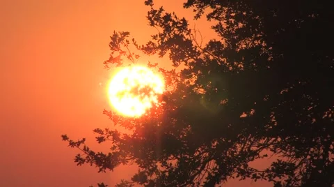 Sun texas 20 Video stock 917845