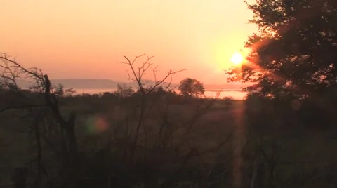 Sun texas 22 Stock Footage 917838