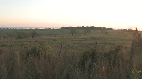 Sun texas 24 Stock Footage 917828