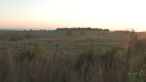 Sun texas 25 Stock Footage 917825