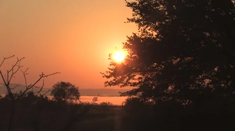 Sun texas 26 Stock Footage 917822