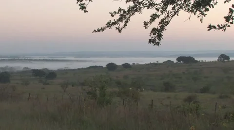 Sun texas 4 Stock Footage 917898