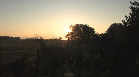 Sun texas 40 Stock Footage 917764