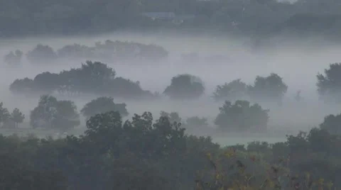 Sun texas 9 Stock Footage 917882