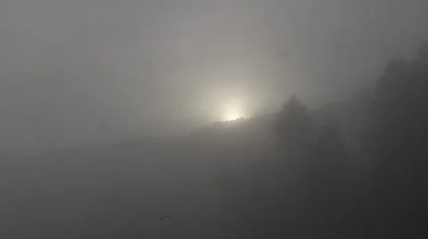 Sun though fog, gull flies through shot 스톡 동영상 36637365