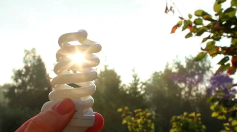 Sun Through The Bulb Stock Footage 40729411