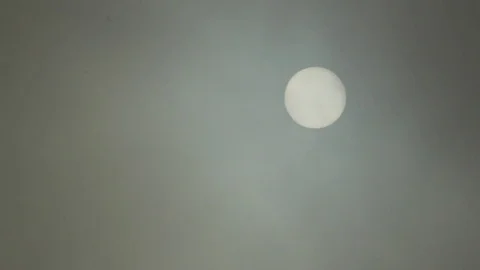 Sun through dense fog fast version Stock Footage 75343244