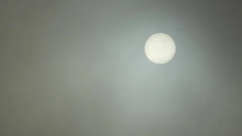 Sun through dense fog only Stock Footage 75343356