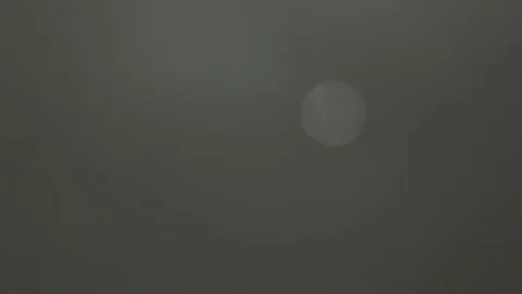 Sun through dense fog with passing bird Stock Footage 75343438