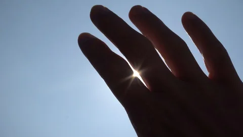 Sun through Fingers, Close Up Stock Footage 96173443