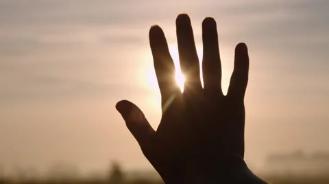 Sun through the fingers Video stock 44448994