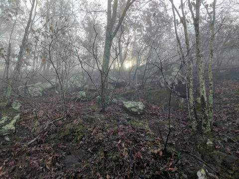 Sun through the Fog Stock Photos