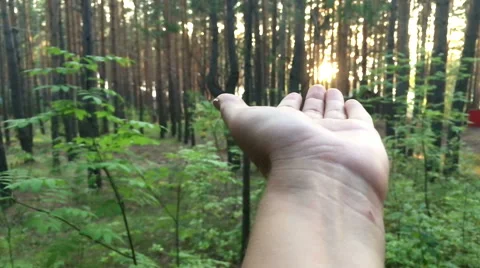 The sun through the hand Stock Footage 66340661