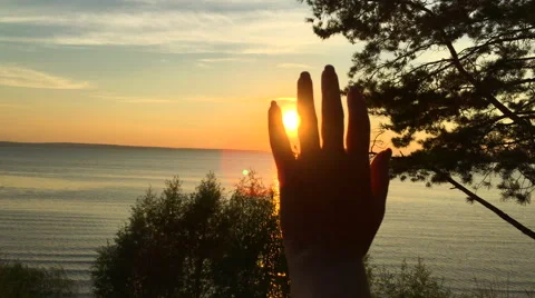 The sun through the hand Stock Footage 66377257