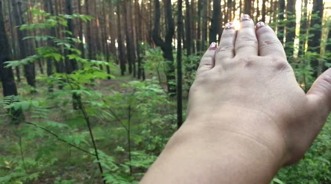 The sun through the hand Stock Footage 67102913