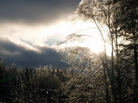 Sun through ice crystals on trees Stock Photos