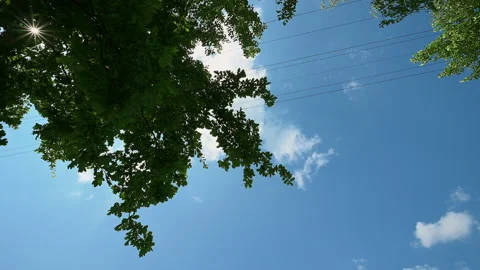 Sun through the tree with clous and blue sky Video stock 157067651