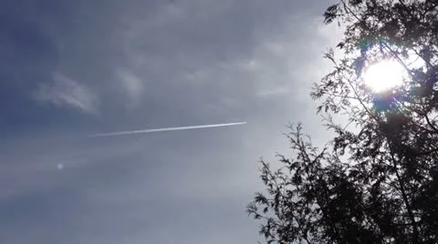 Sun through Tree with a Plane Stock Footage 22628701