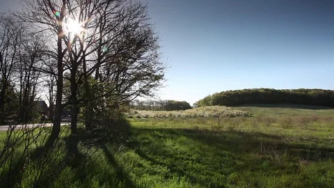 Sun Through Trees and Field Time-lapse Stock Footage 78602697