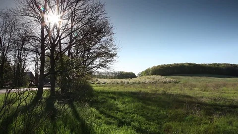 Sun Through Trees and Field Stock Footage 78602785
