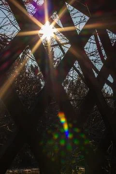 The sun through the trees. A beautiful park in spring with the bright sun b.. Stock Photos