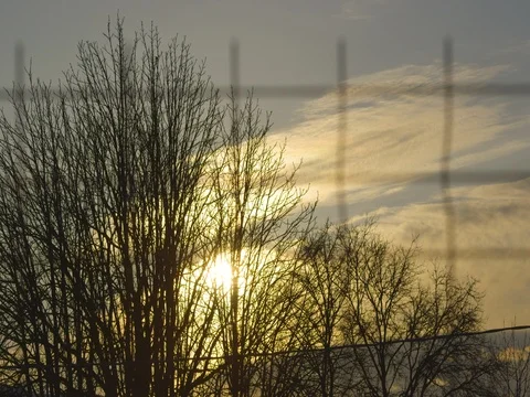 Sun through the trees in a beautiful sunrise in a mild winter Stock Footage 71929274