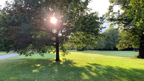 Sun through trees in expansive green park panorama Video stock 165899864