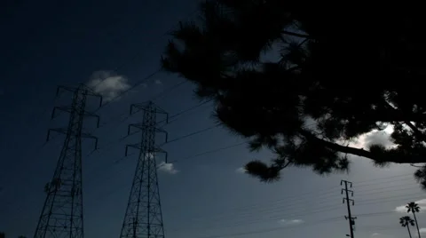 Sun Through Trees 動画素材 1099100