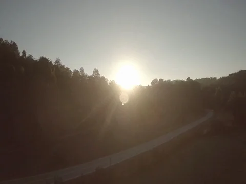 Sun Through Treetops Stock Footage 77574761