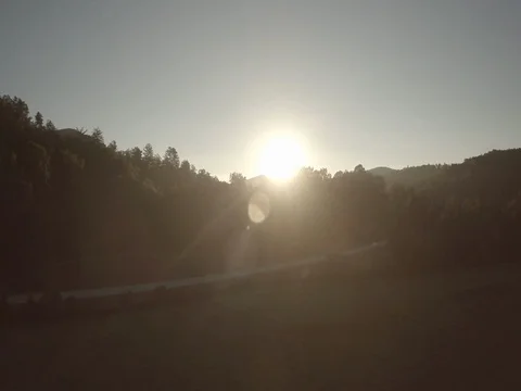 Sun Through Treetops Stockbeeldmateriaal 77575668