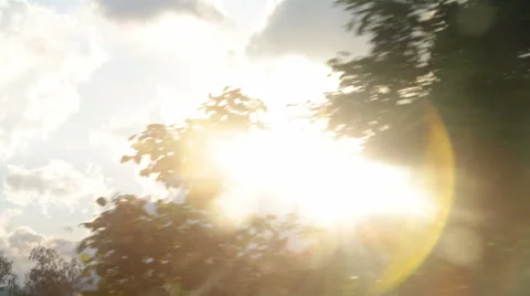 Sun thru trees driving shot Stock Footage 45162578