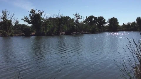 Sun tilt to Lake Stock Footage 75592875