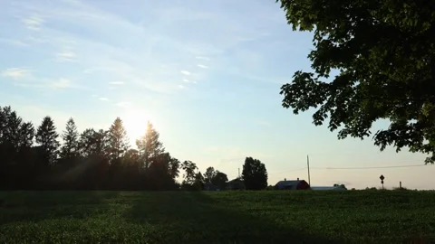 Sun Touching Trees Stockbeeldmateriaal 338360509