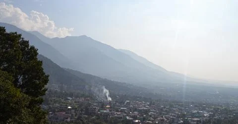 Sun Tree 写真素材