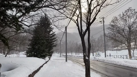 The Sun, trees and road Stock Footage 127557910