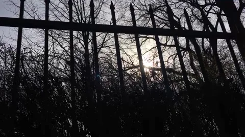 Sun with trees behind the fence. Stock Footage 98299135