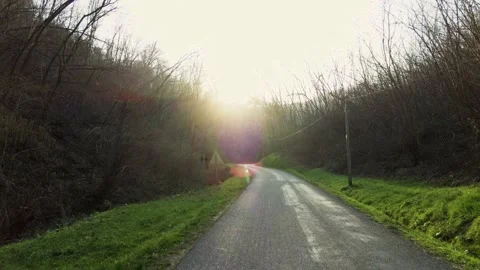 Sun in the trees Stock Footage 233615891