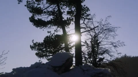 Sun trough the trees Stock Footage 161469111
