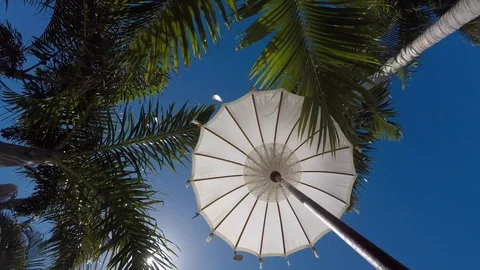 Sun umbrella and palm trees for shade on a hot summer day Stock Footage 103298670