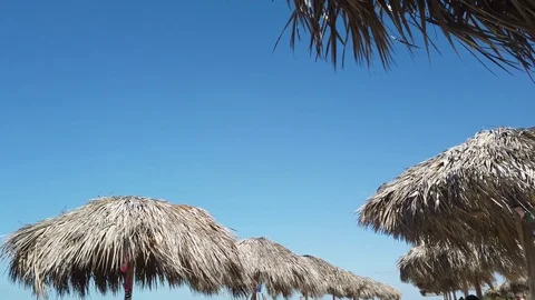 Sun umbrella in the beach 動画素材 108260111