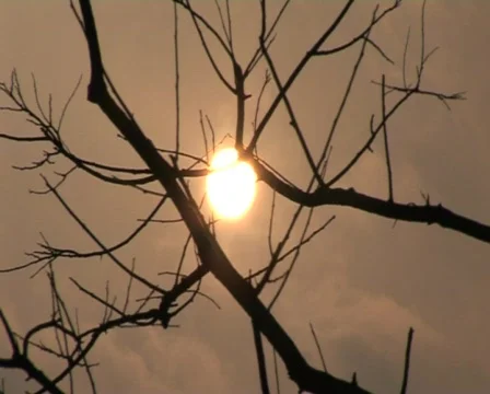  Sun under polluted sky. Stock Footage 337439