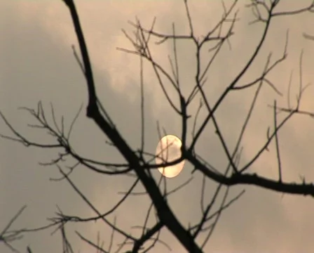  Sun under polluted sky. Stock Footage 337441