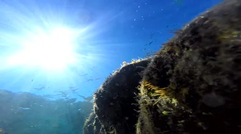 Sun under water Stockbeeldmateriaal 41976128