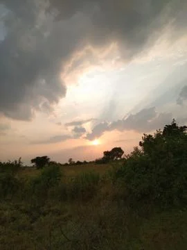 Sun view Stock Photos